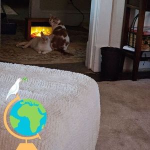 Meet your Posher, Barbara